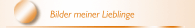 Bilder meiner Lieblinge