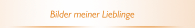 Bilder meiner Lieblinge